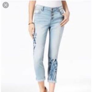 Embroidered Skinny Jeans